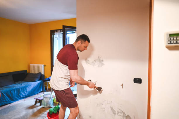 Best Mold Remediation  in Spencerville, NM